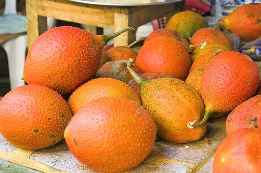 Gac Fruit Seeds