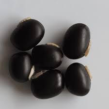 Organic Bulk Velvet Bean Seeds or Mucuna pruriens Seeds For Planting