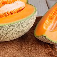 Iroquois Cantaloupe Melon (Cucumis melo) – Fruit Seeds