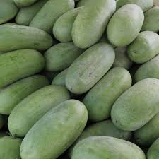 Charleston Gray Watermelon (Citrullus lanatus) – Red Fruit Melon Seeds