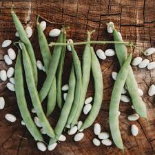 White Half Runner Green Bean Seeds, Planting