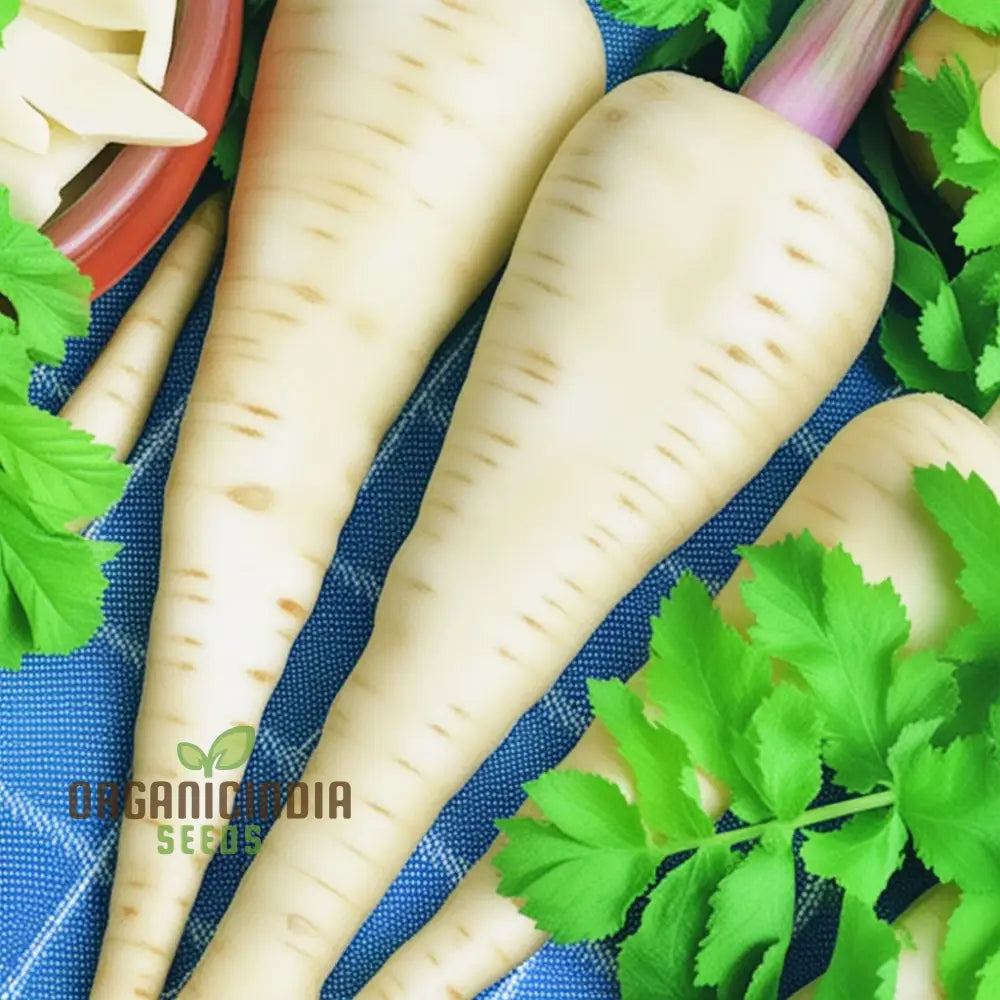 Imperial Crown Parsnip Seeds for Planting, Home Garden Root Vegetable Seeds