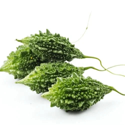 Indian Short Bitter Gourd Seeds, Heirloom High Yield Vegetable Seeds