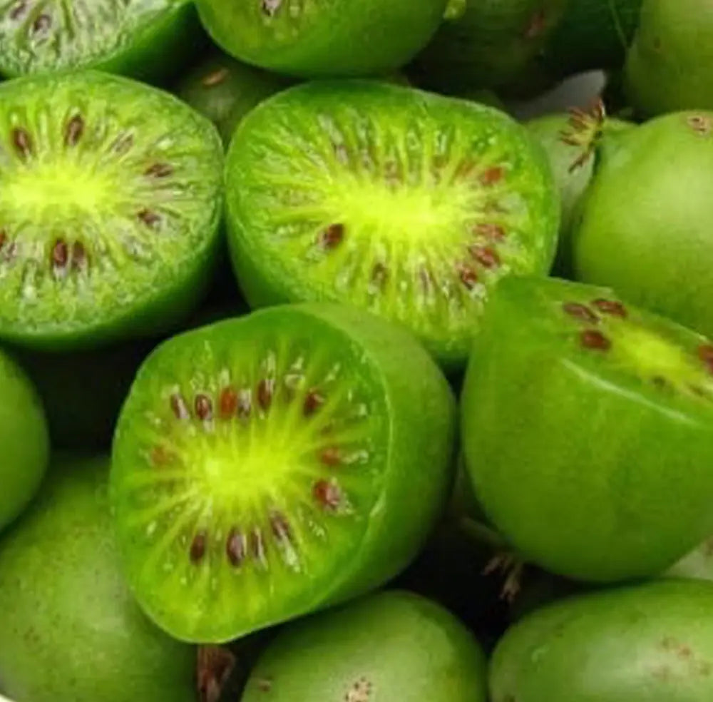 Issai kiwi seeds for planting self-pollinating hardy kiwi vines