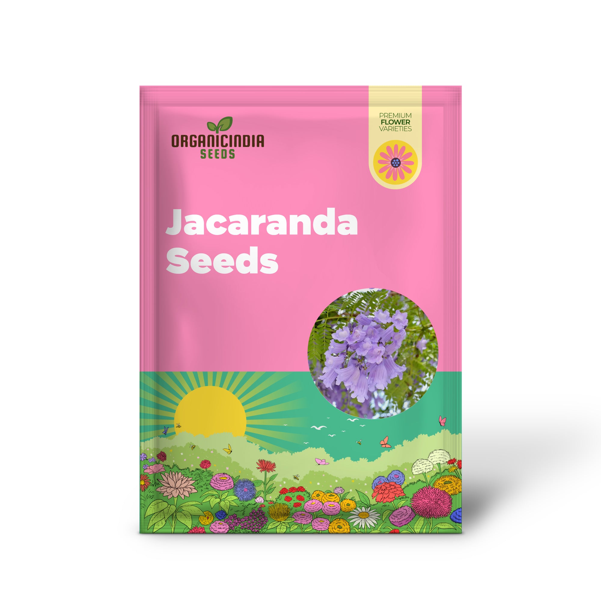 Blue Jacaranda Tree Covered in Vibrant Blue Blooms