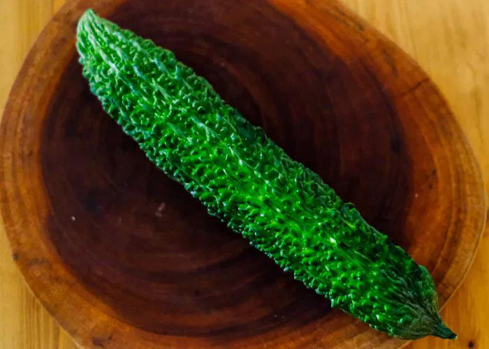 Harvested Japanese Bitter Gourds from Seeds, Tender Healthy Vegetables