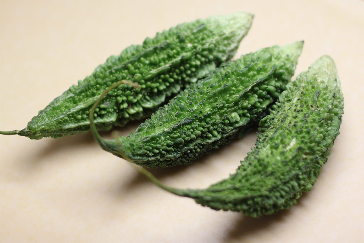 Japanese Bitter Gourd Seedling in Garden, Easy-to-Grow Vine Seeds