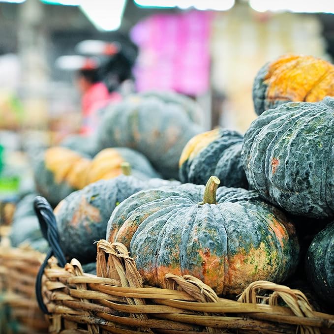 Buy Japanese Green Pumpkin Seeds Online – Traditional Variety