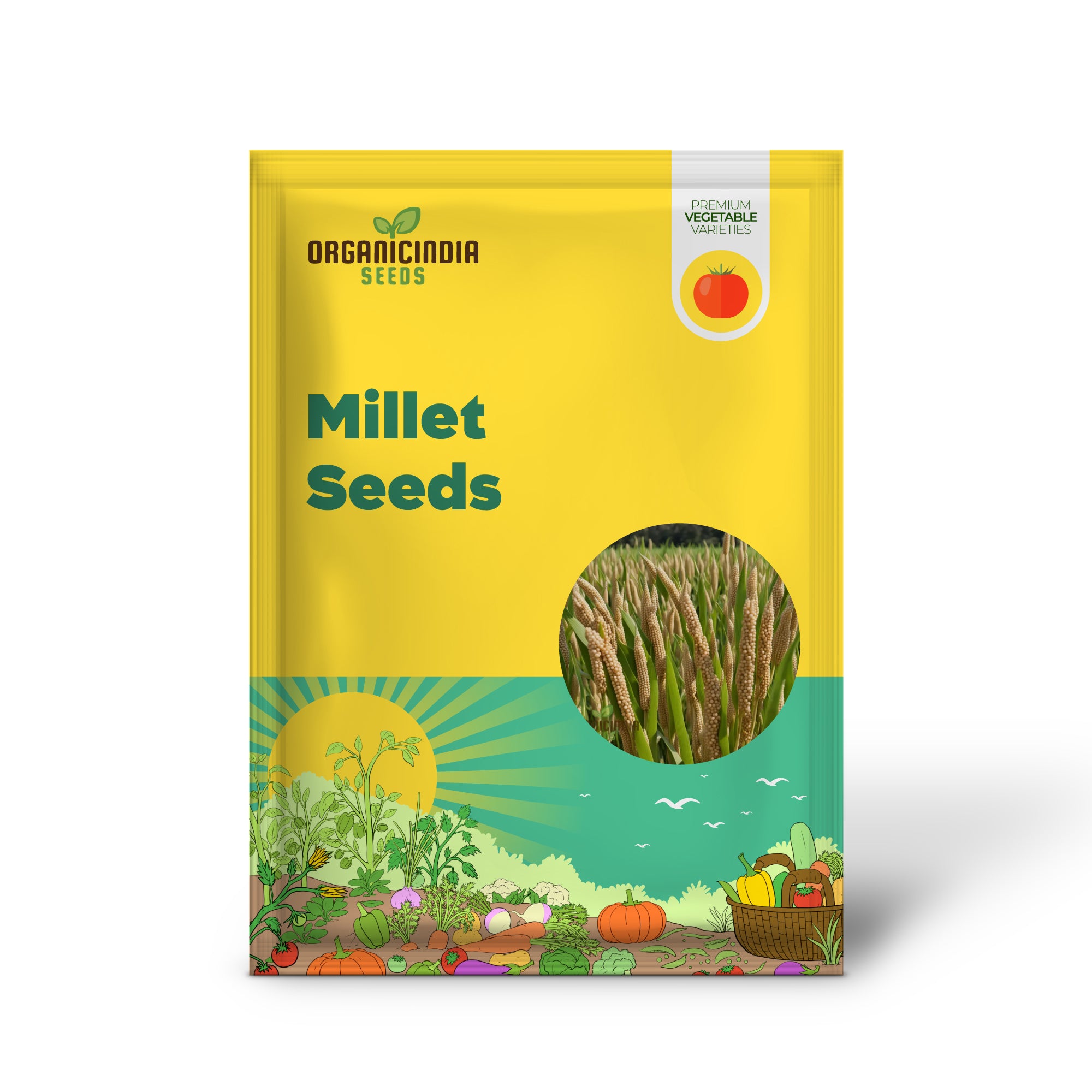 Japanese Millet Seedling for Home Garden, Easy-to-Grow Grain Seeds