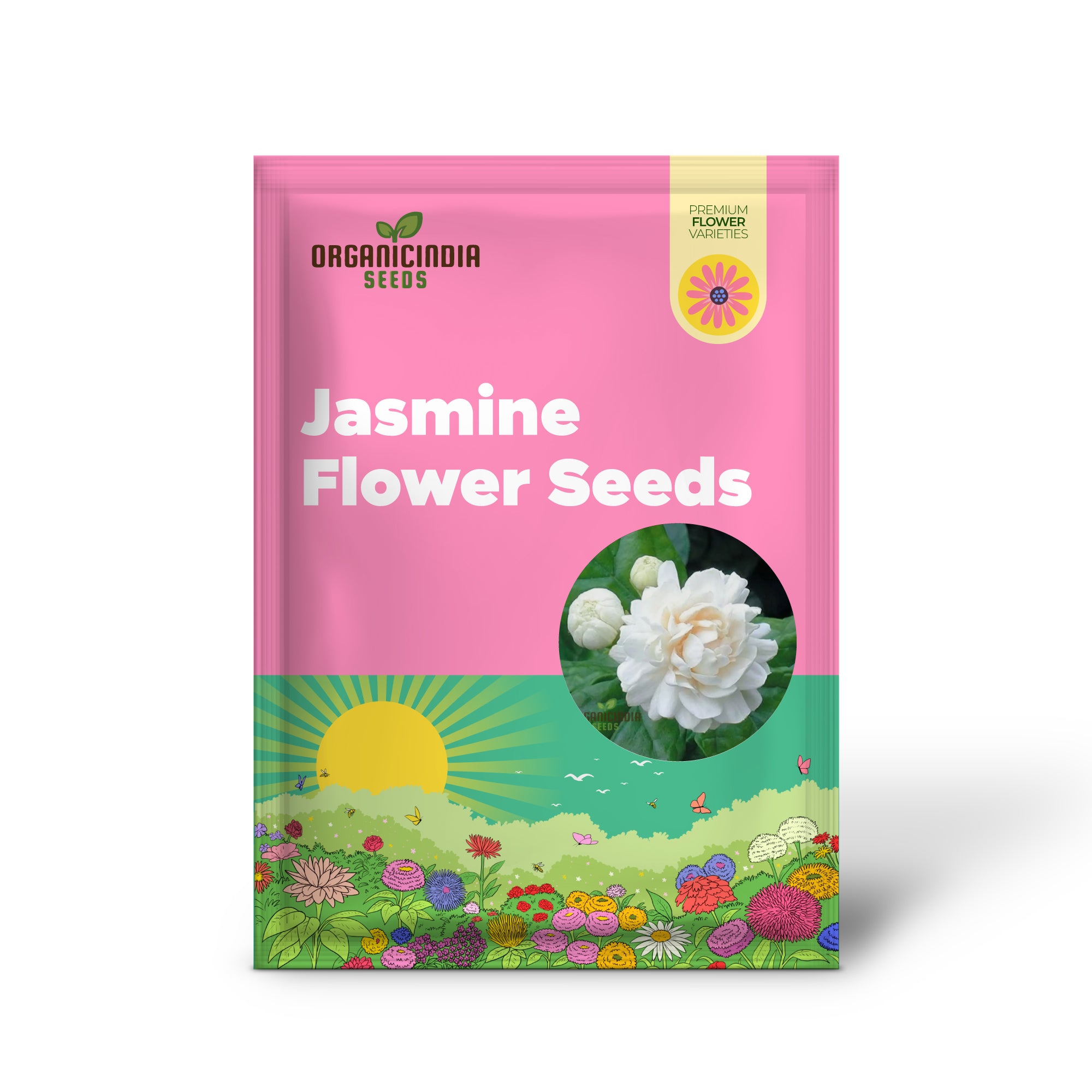 Premium Jasmine Flower Seeds for Planting