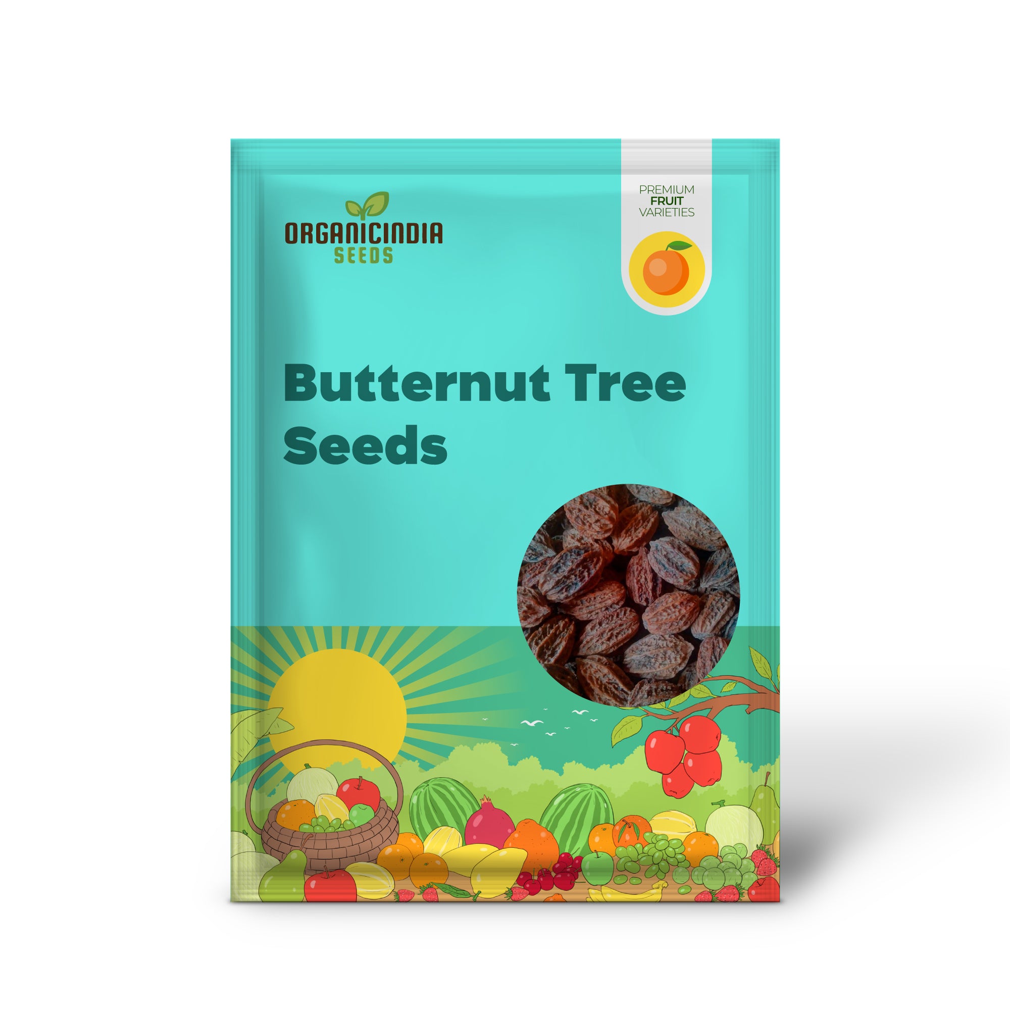Juglans cinerea Seeds for Home Gardens and Orchards