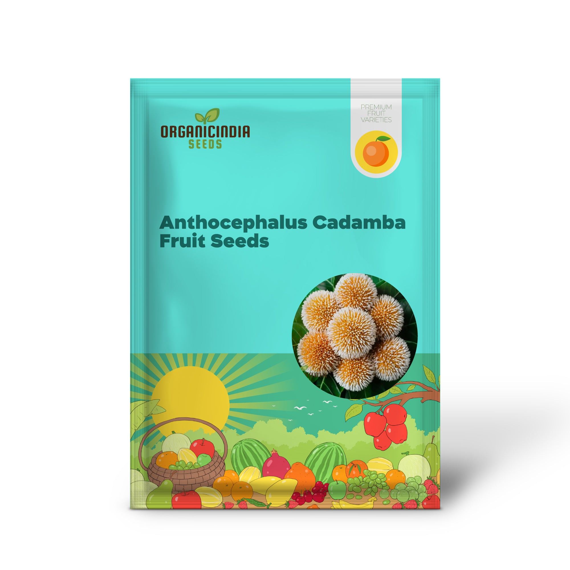 Kadamba tree fragrant yellow flower close-up