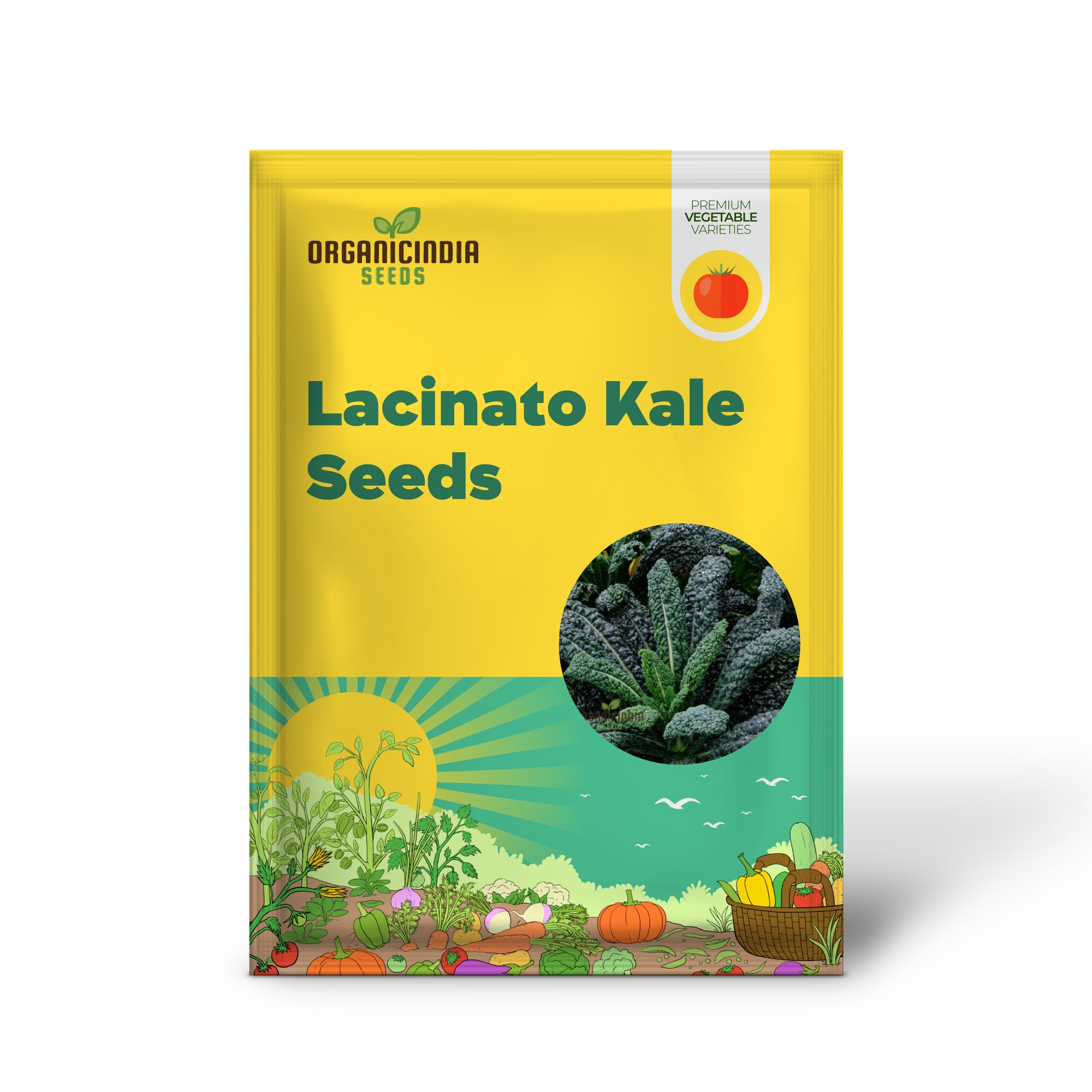 Lacinato Kale Seedling Growing in Garden, Easy-to-Grow Leafy Green Seeds