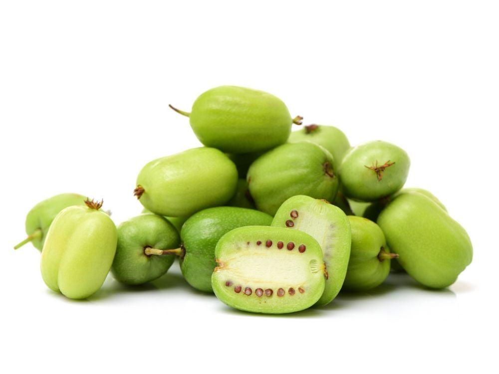 Kiwi Vines Growing on Trellis in Garden