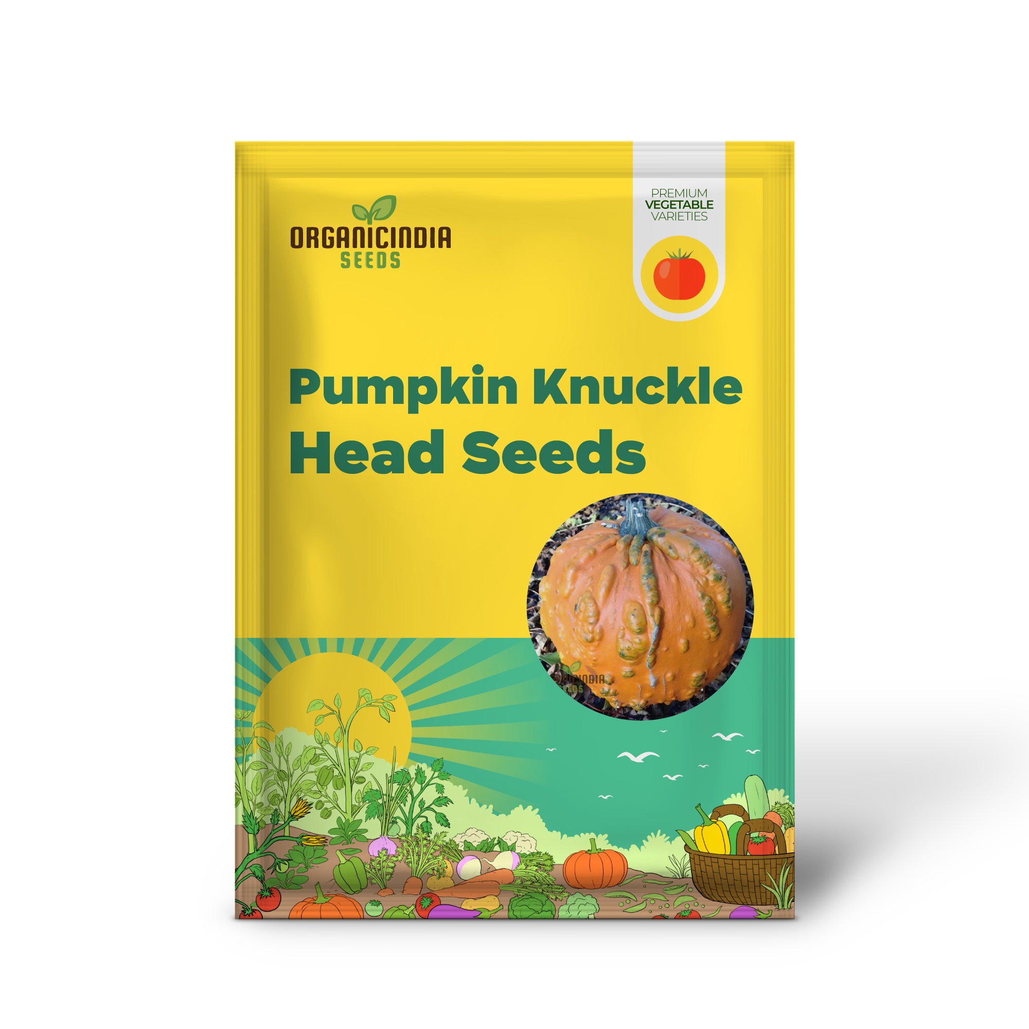Knuckle Head Pumpkin Seedling Growing in Garden, Easy-to-Grow Pumpkin Seeds