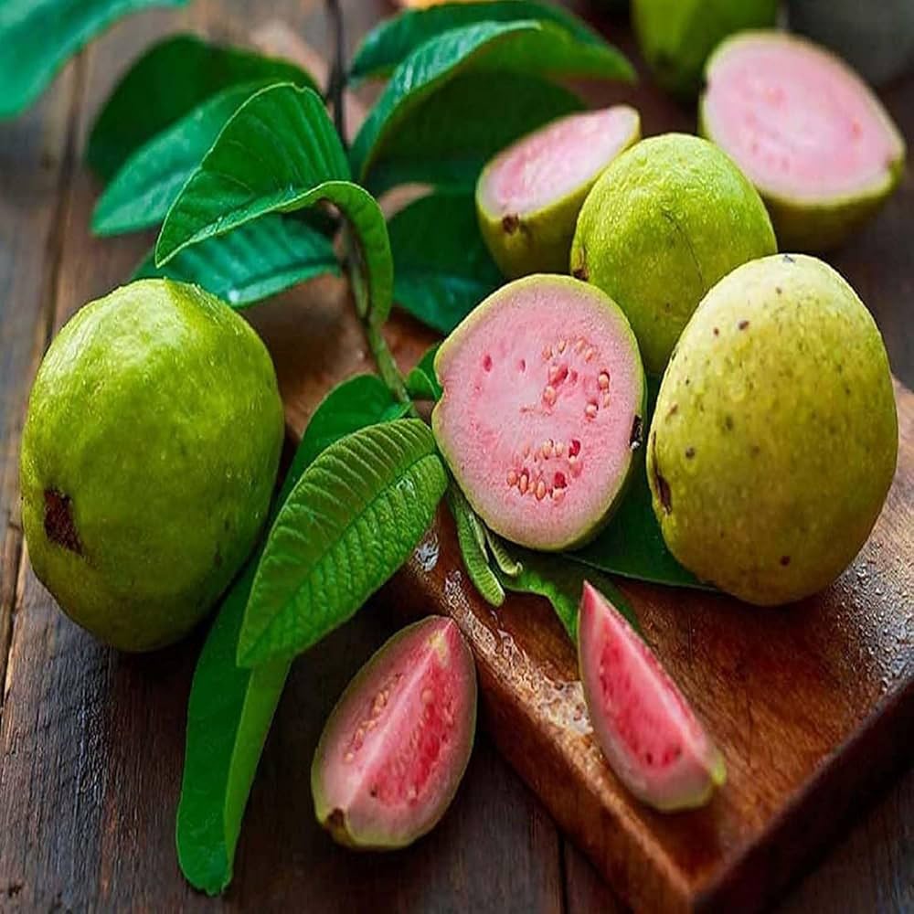 Lalit/Redland White Guava non-GMO seeds for tropical fruit plant