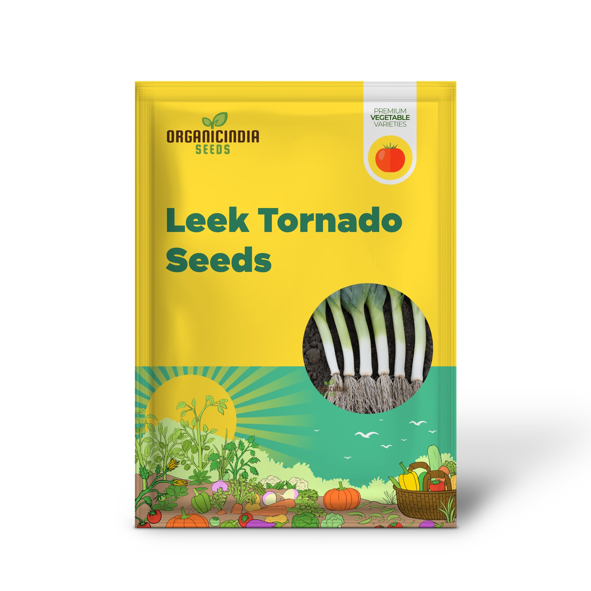 Tornado Leek Seedlings Growing, Non-GMO Leek Seeds