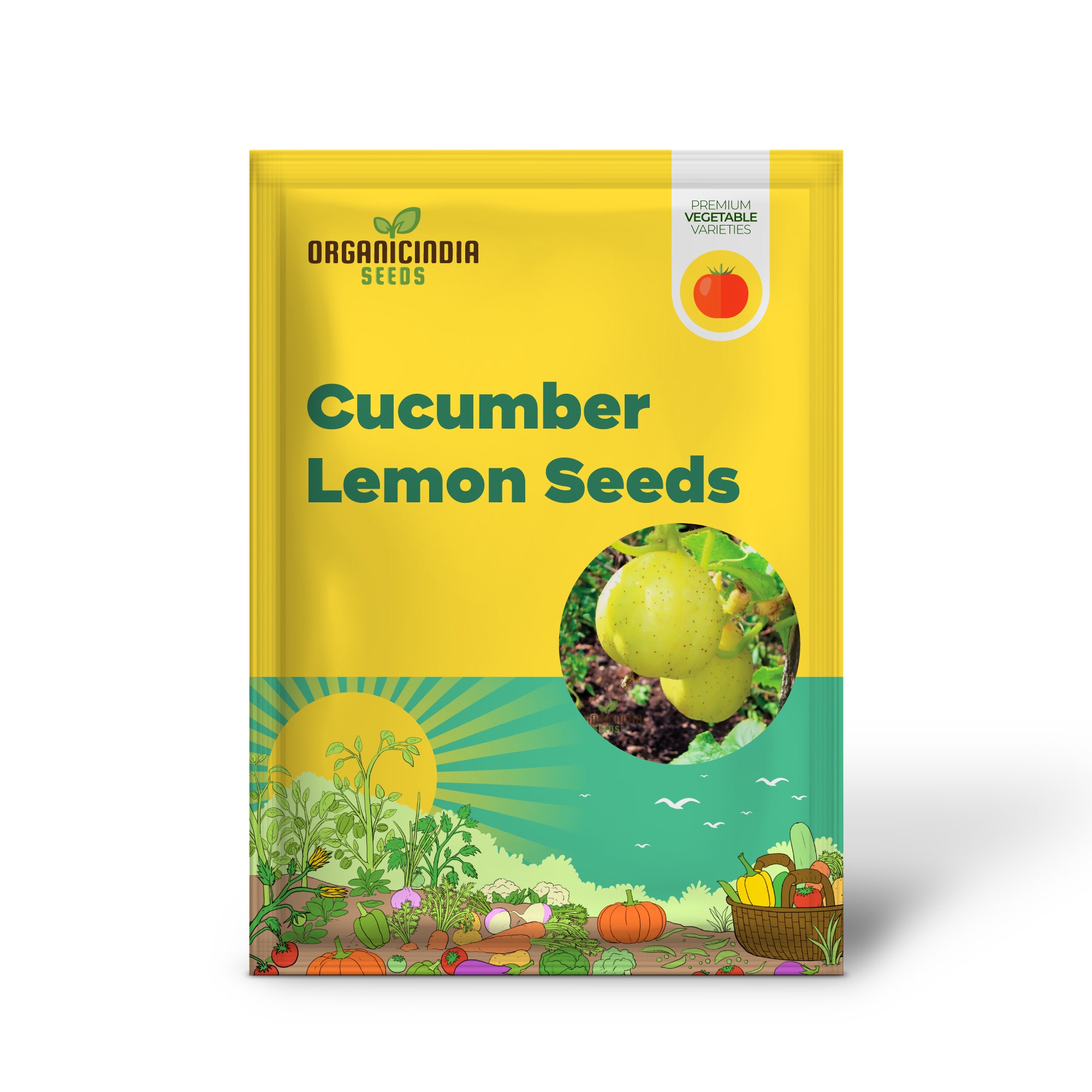 Lemon Cucumber Fruits on Plant from Seeds, Crisp Refreshing Cucumbers