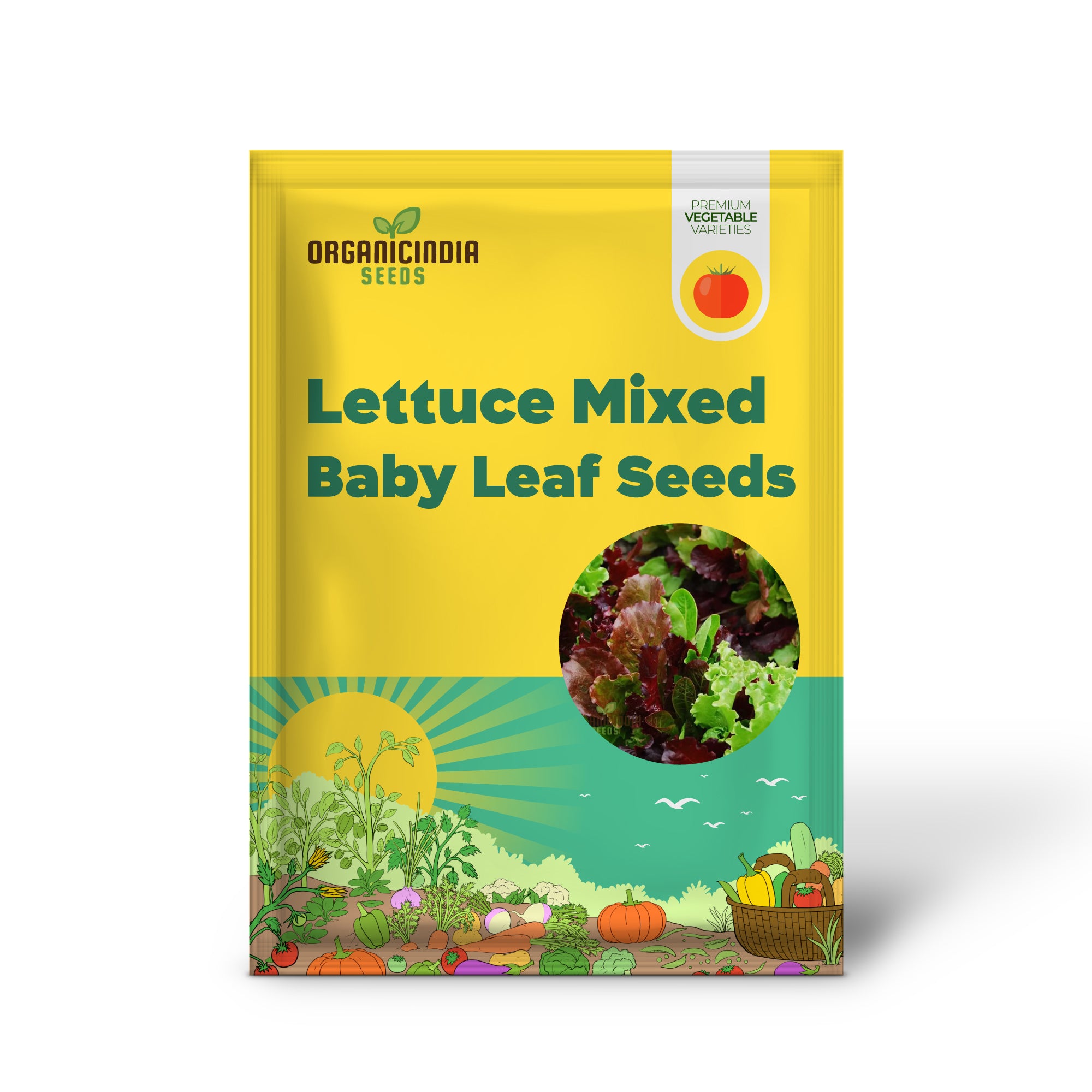 Lettuce Seedling Growing from Mixed Baby Leaf Seeds, Easy-to-Grow Greens