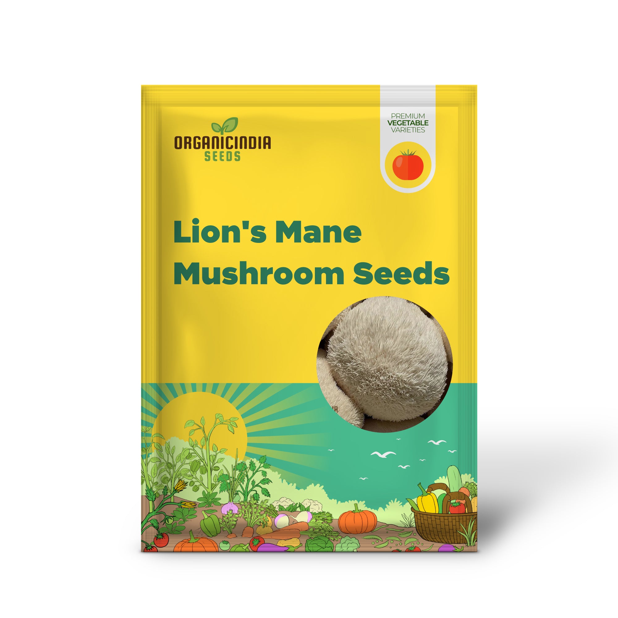 Lion's Mane Mushroom Mycelium Growing on Substrate, Home Mushroom Kit
