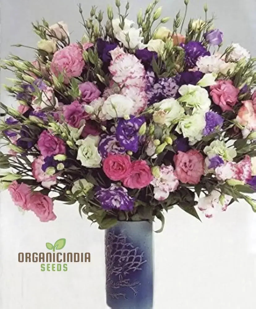 Lisianthus seeds white and purple mix for planting