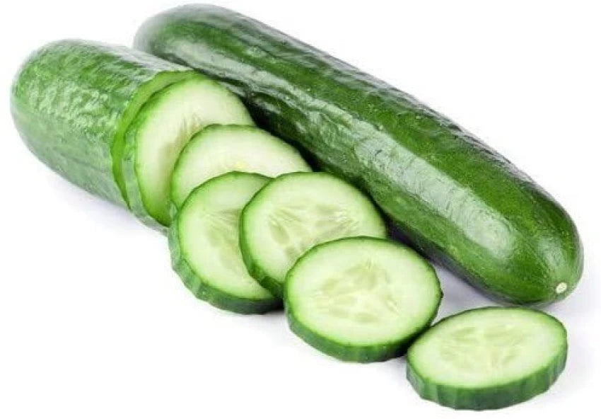 Freshly Harvested Long Green Improved Cucumbers from Seeds, Crisp and Delicious