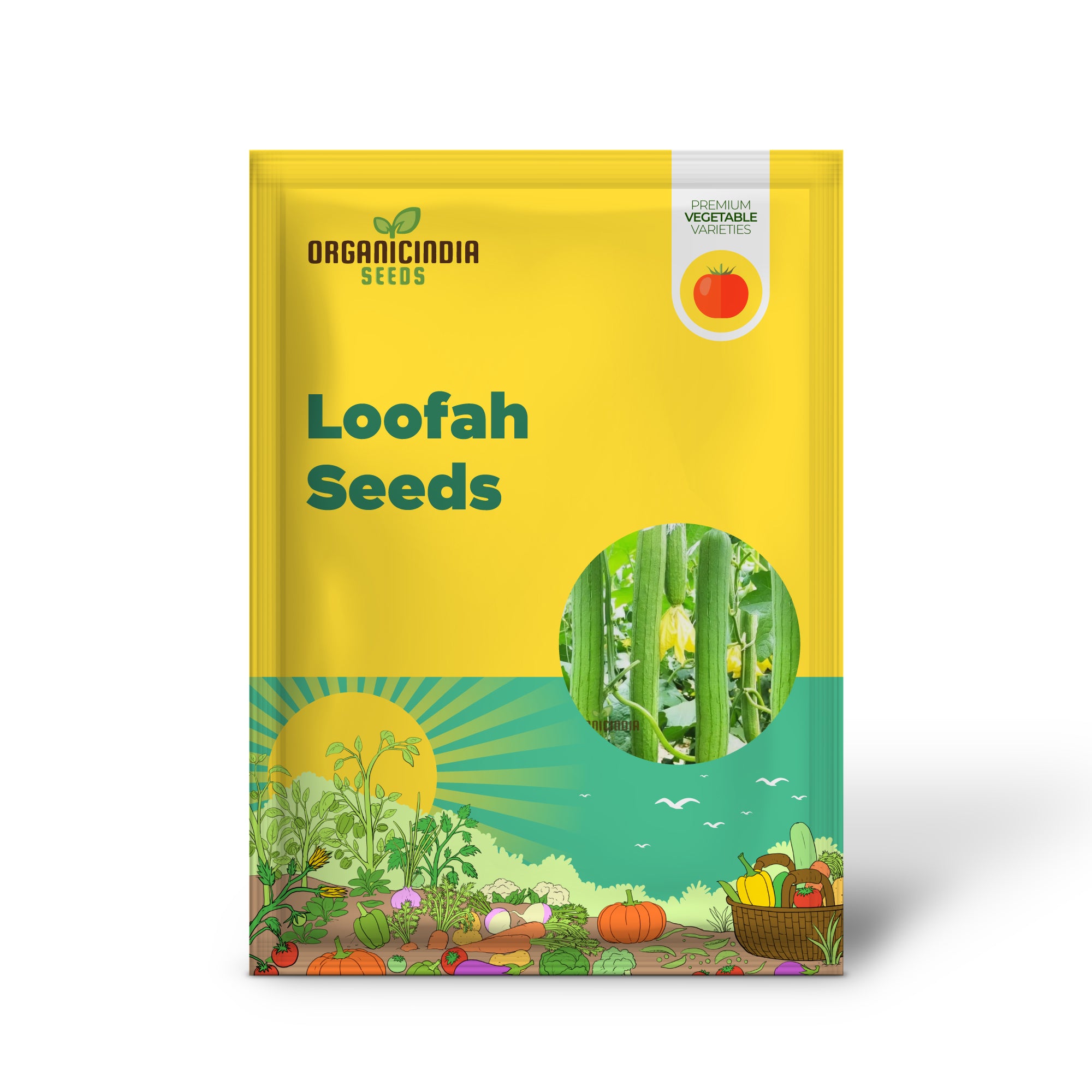 Loofah Vines Growing from Resilient Loofah Seeds in Garden