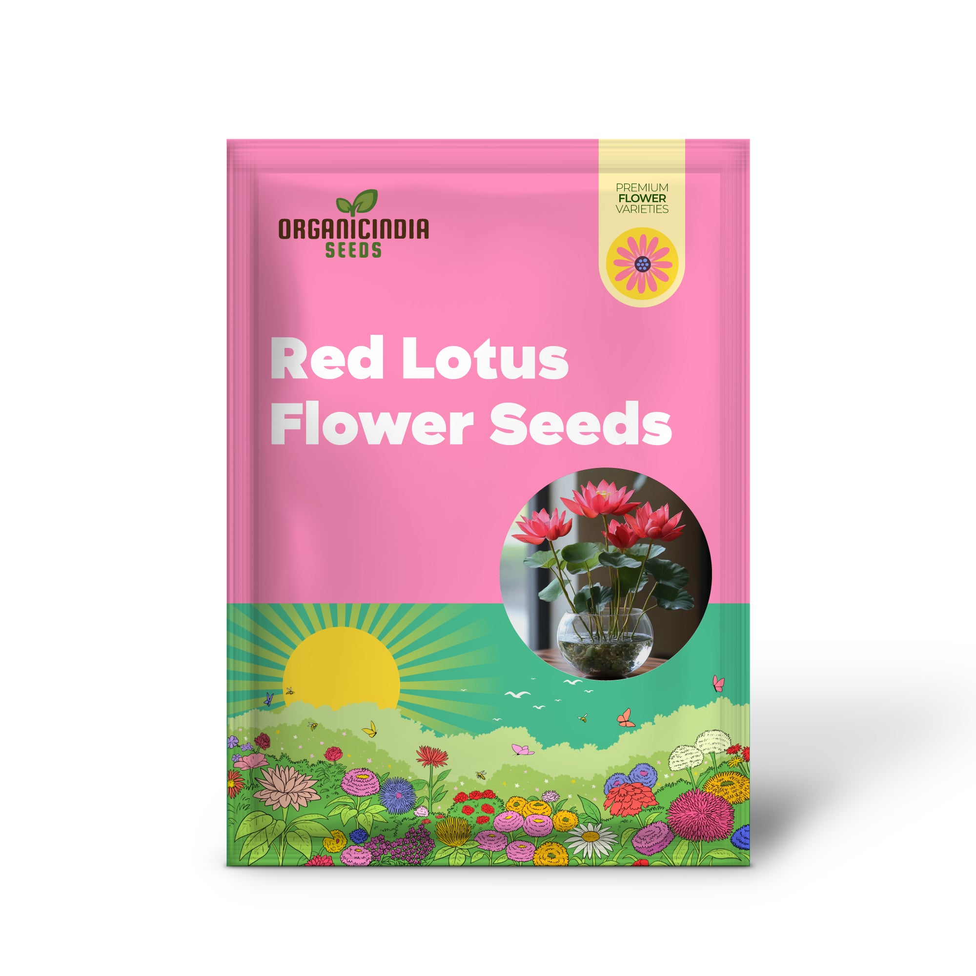 Lotus Seedling from Red Premium Seeds, Easy-to-Grow Water Plant