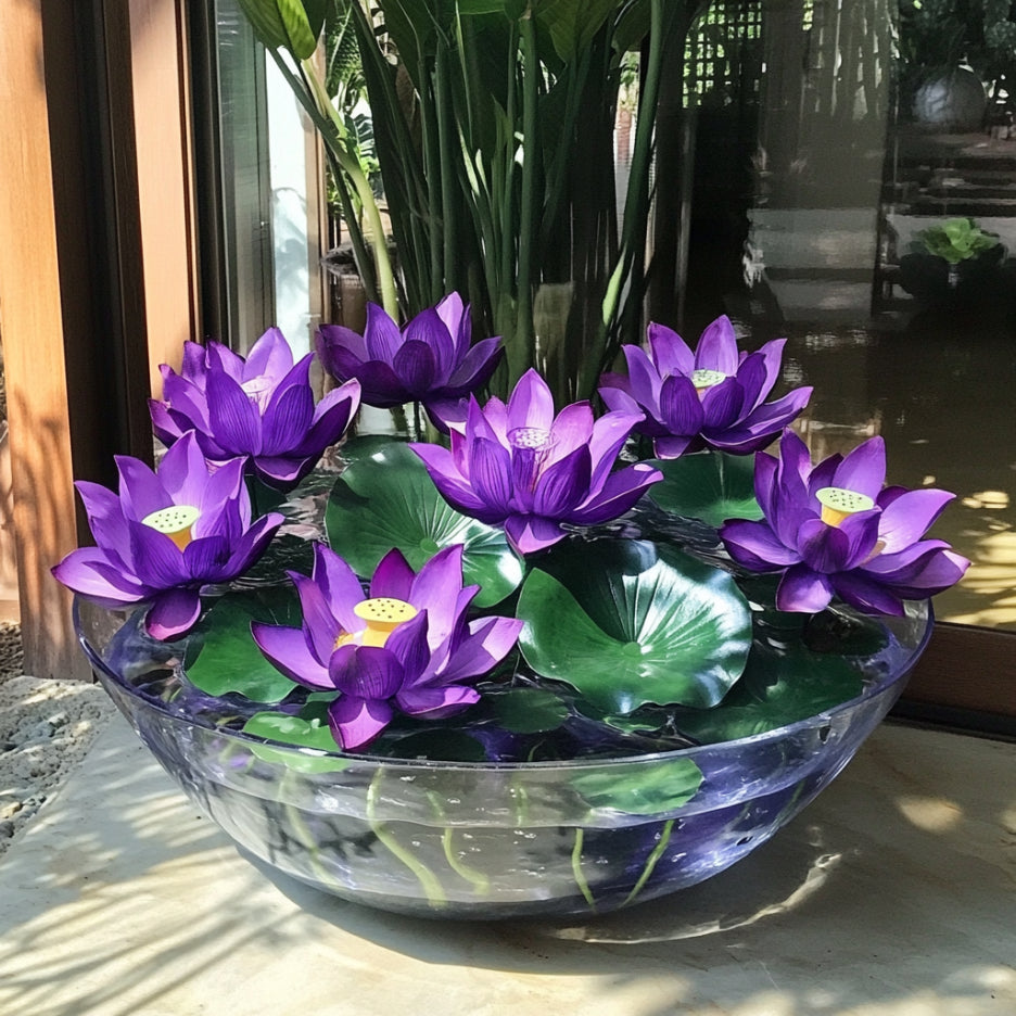 Germination guide for purple lotus seeds