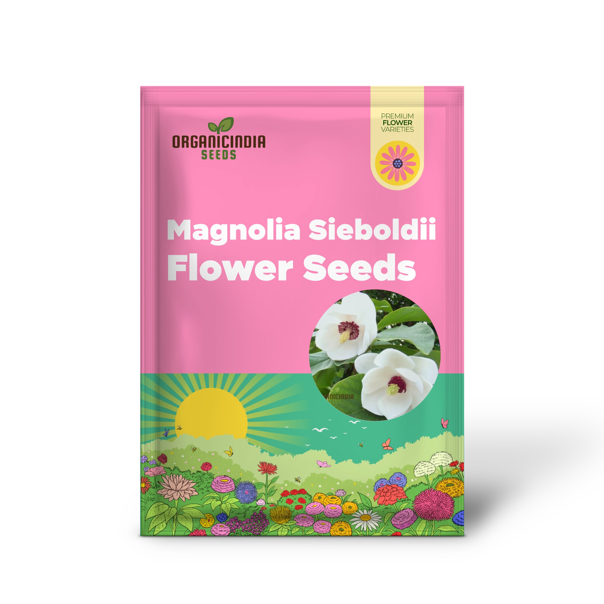 Magnolia seeds germination process for home gardening