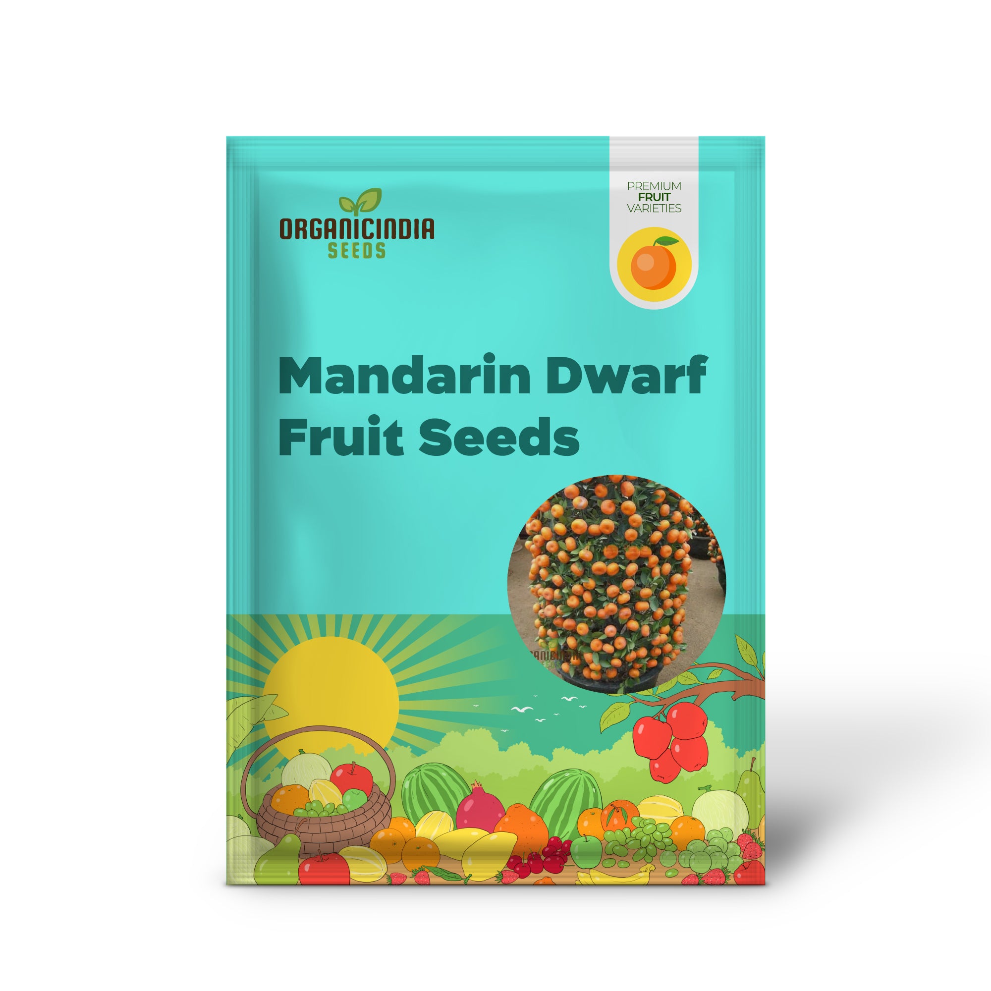 Mandarin orange seeds for planting in home gardens