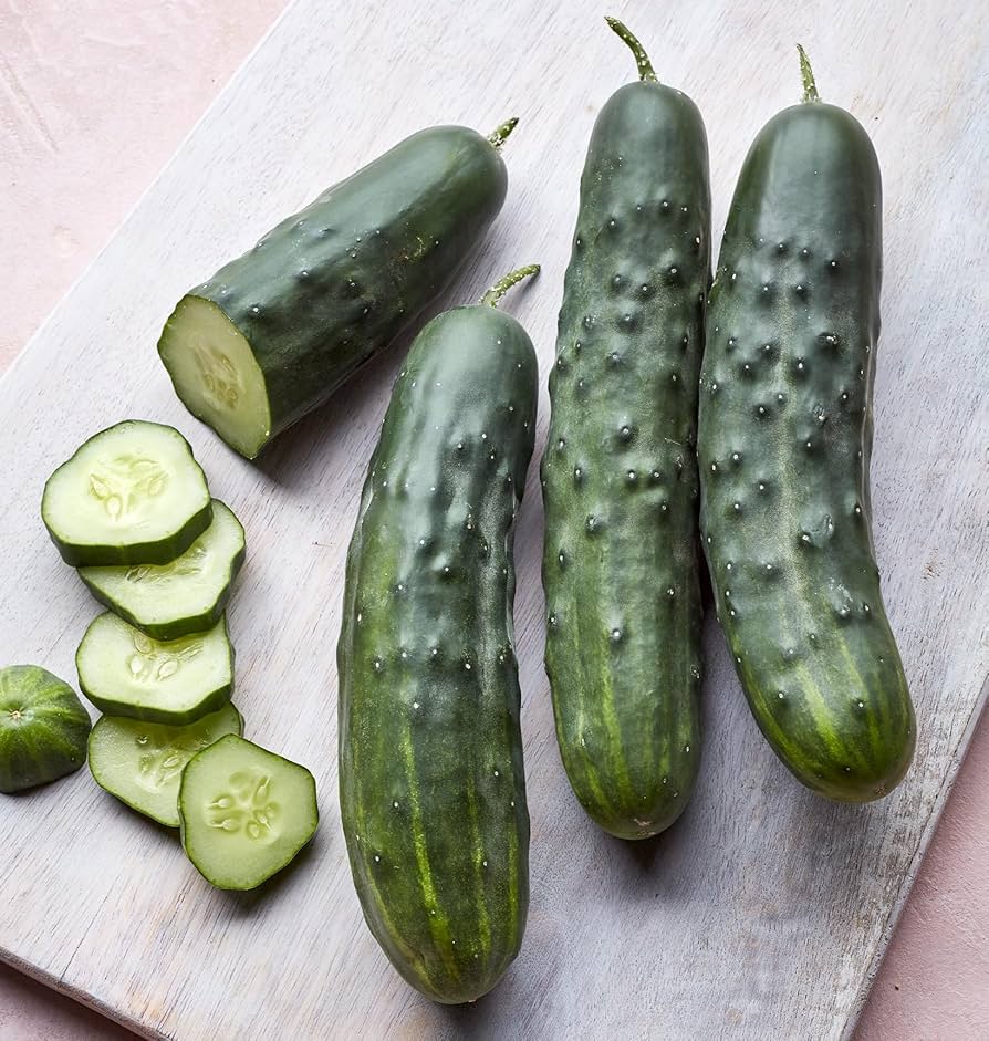 Marketmore 76 cucumber seedlings growing in soil