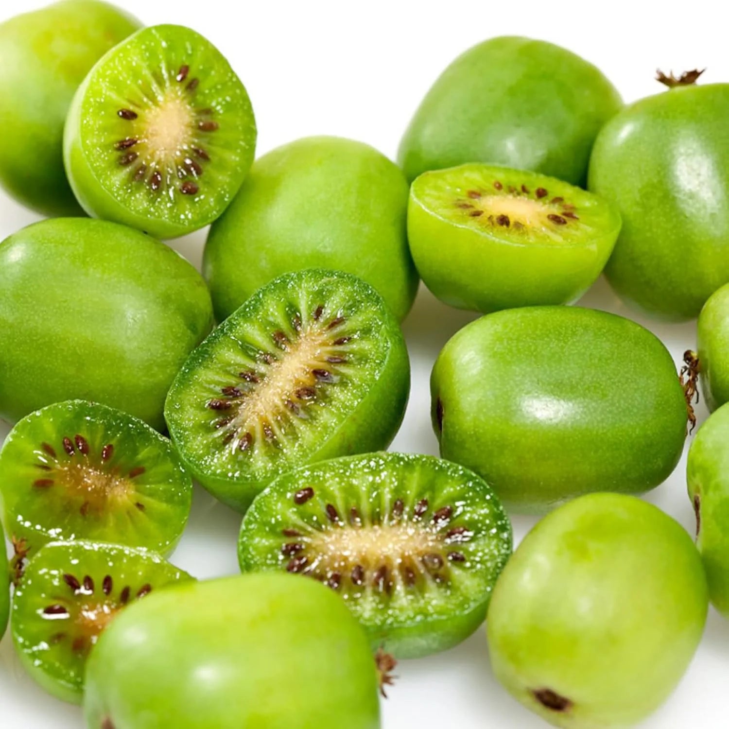 Mature Kiwi Berry vine with clusters of ripened mini kiwis
