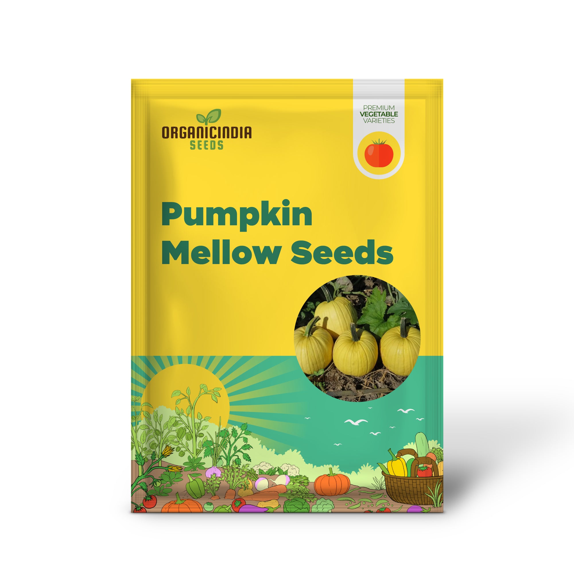 Mellow Yellow Pumpkin Seedling Growing in Garden, Easy-to-Grow Pumpkin Seeds