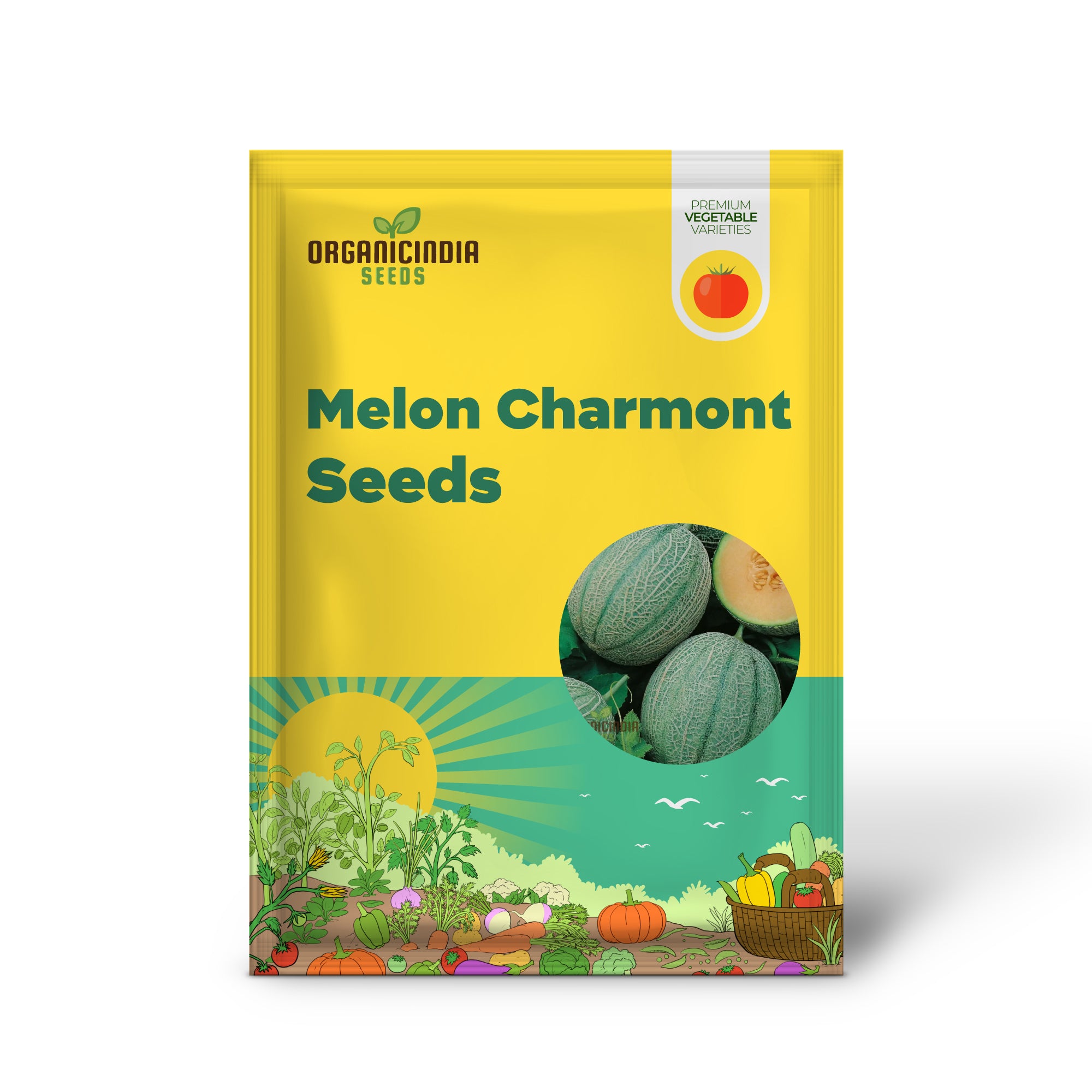 Charmont Melon Seedlings Growing from Seeds
