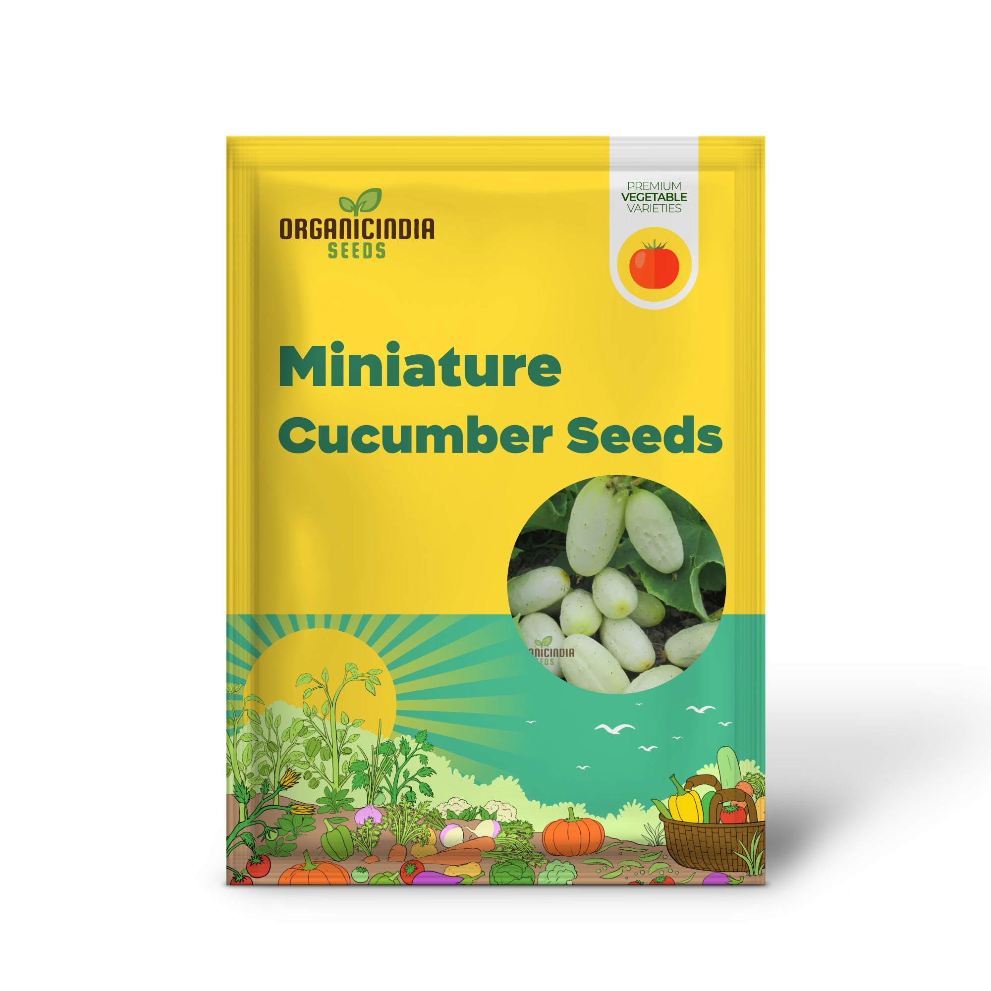 Miniature White Cucumber Seedlings Growing from Seeds, Home Garden Seeds