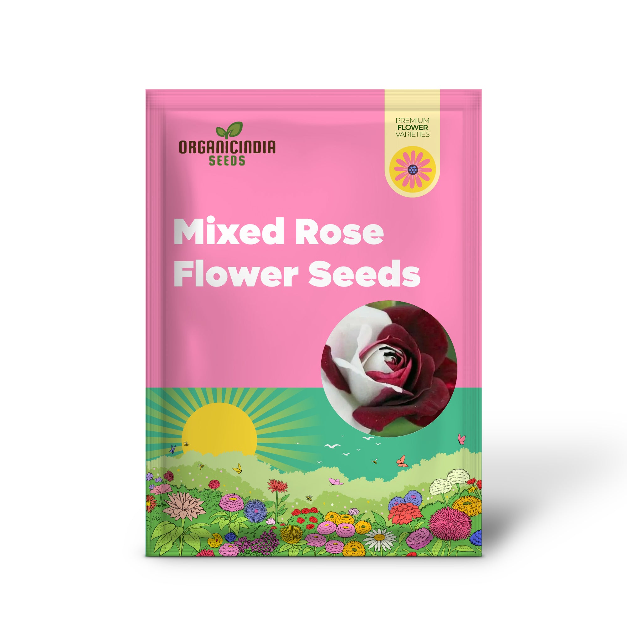 Mixed color rose seeds for gardens and borders