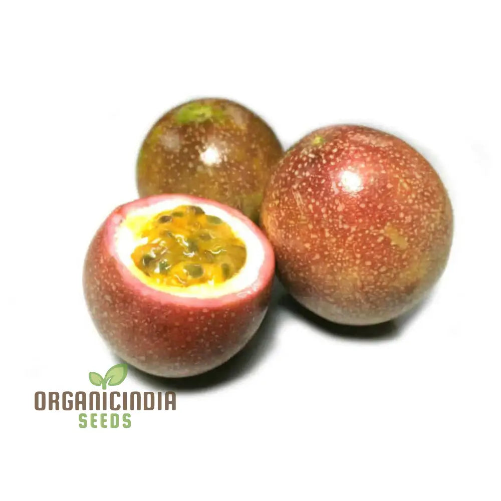 Mixed fruit seedlings sprouting in garden soil