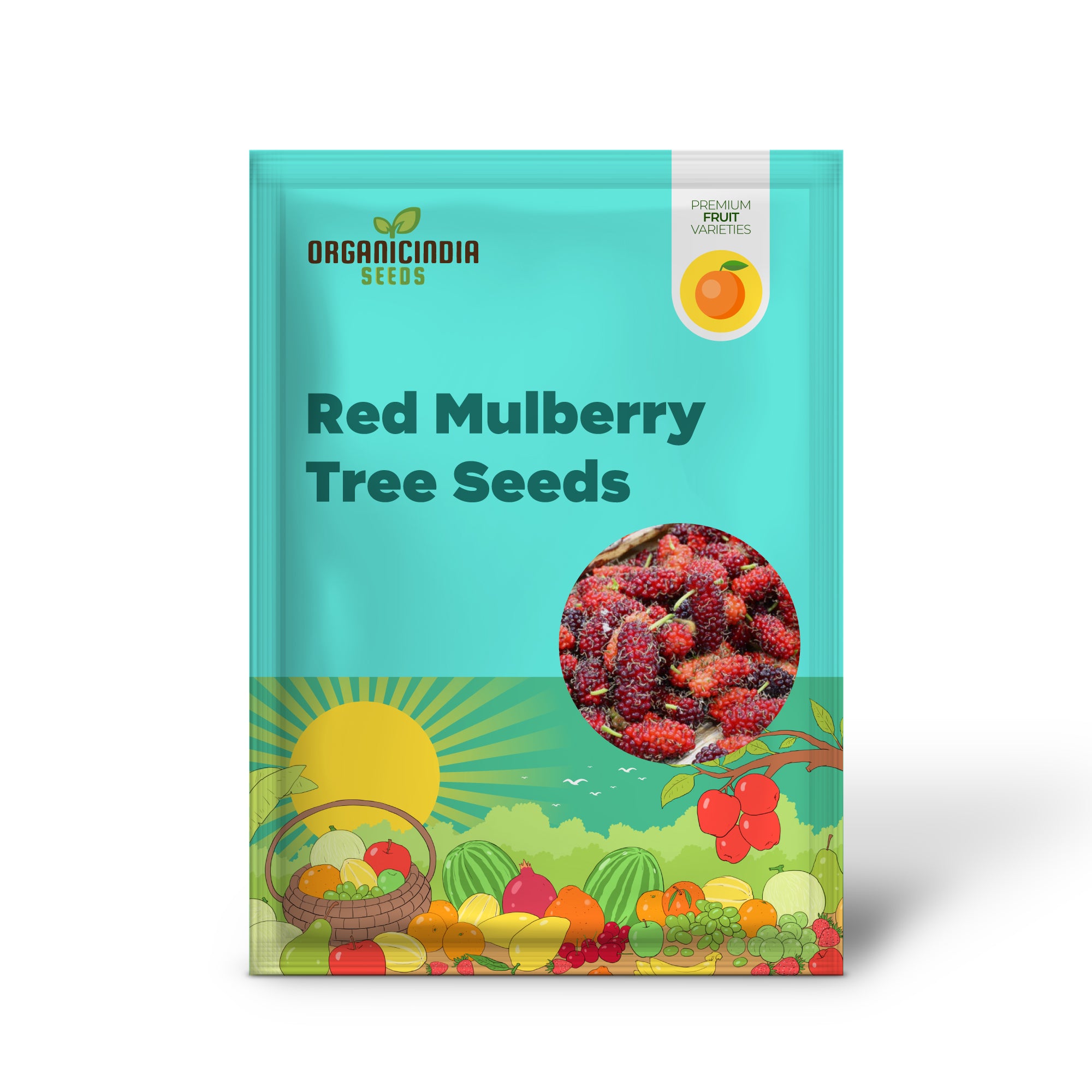 Morus rubra seeds for fast-growing fruit tree cultivation