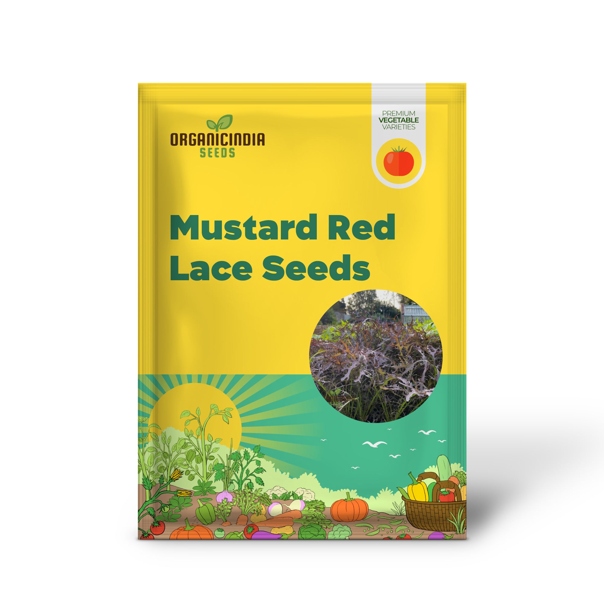 Red Lace Mustard Seedling, Early Growth Stage of Mustard Greens