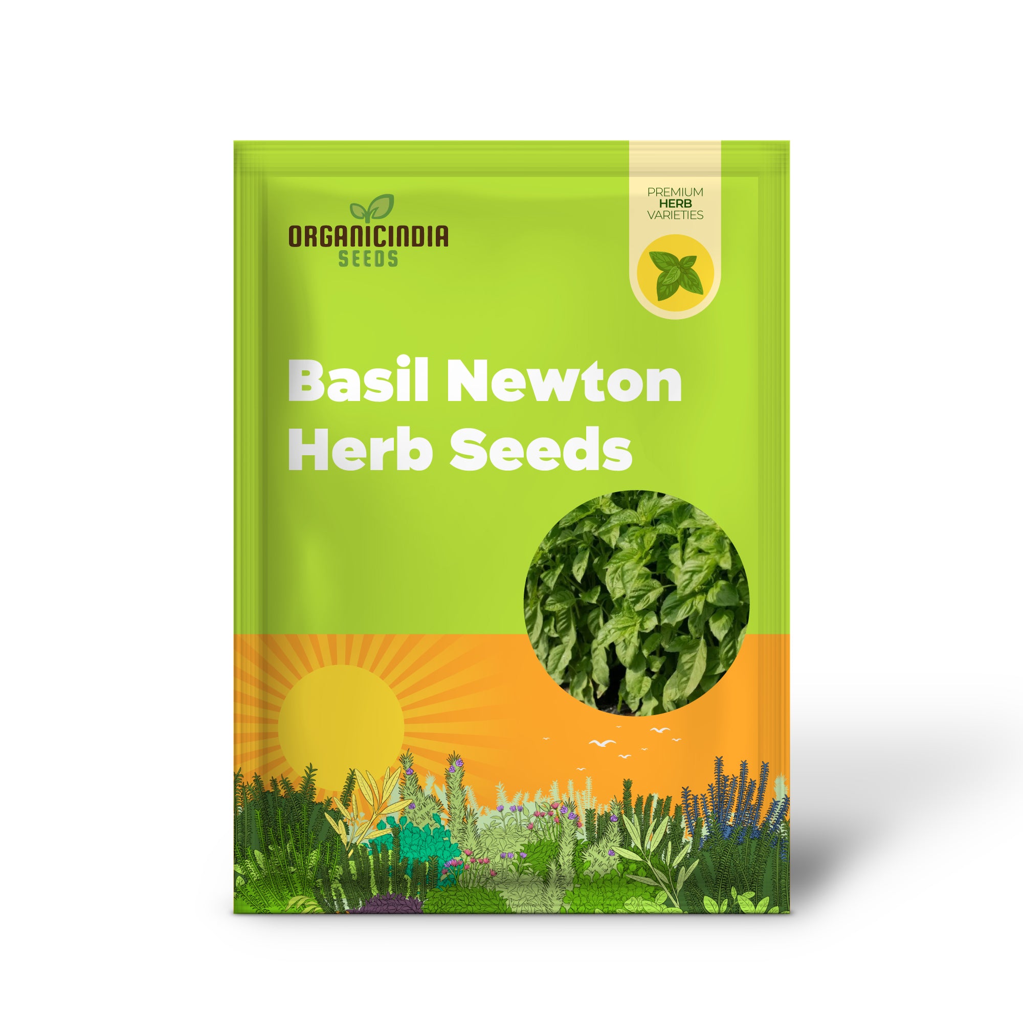 Newton Basil Plant with Fresh Green Aromatic Leaves