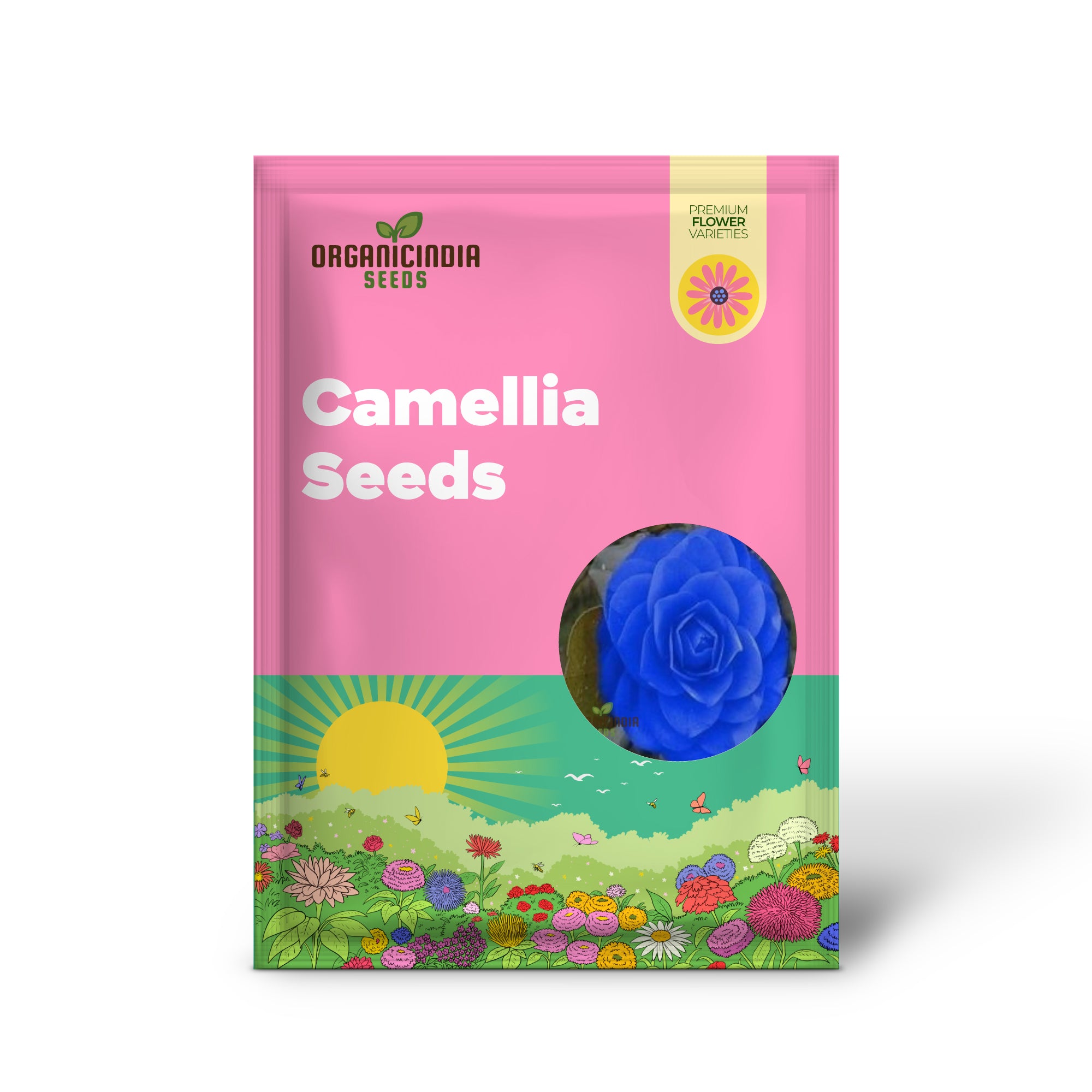 Non-GMO Camellia flower seeds for garden planting