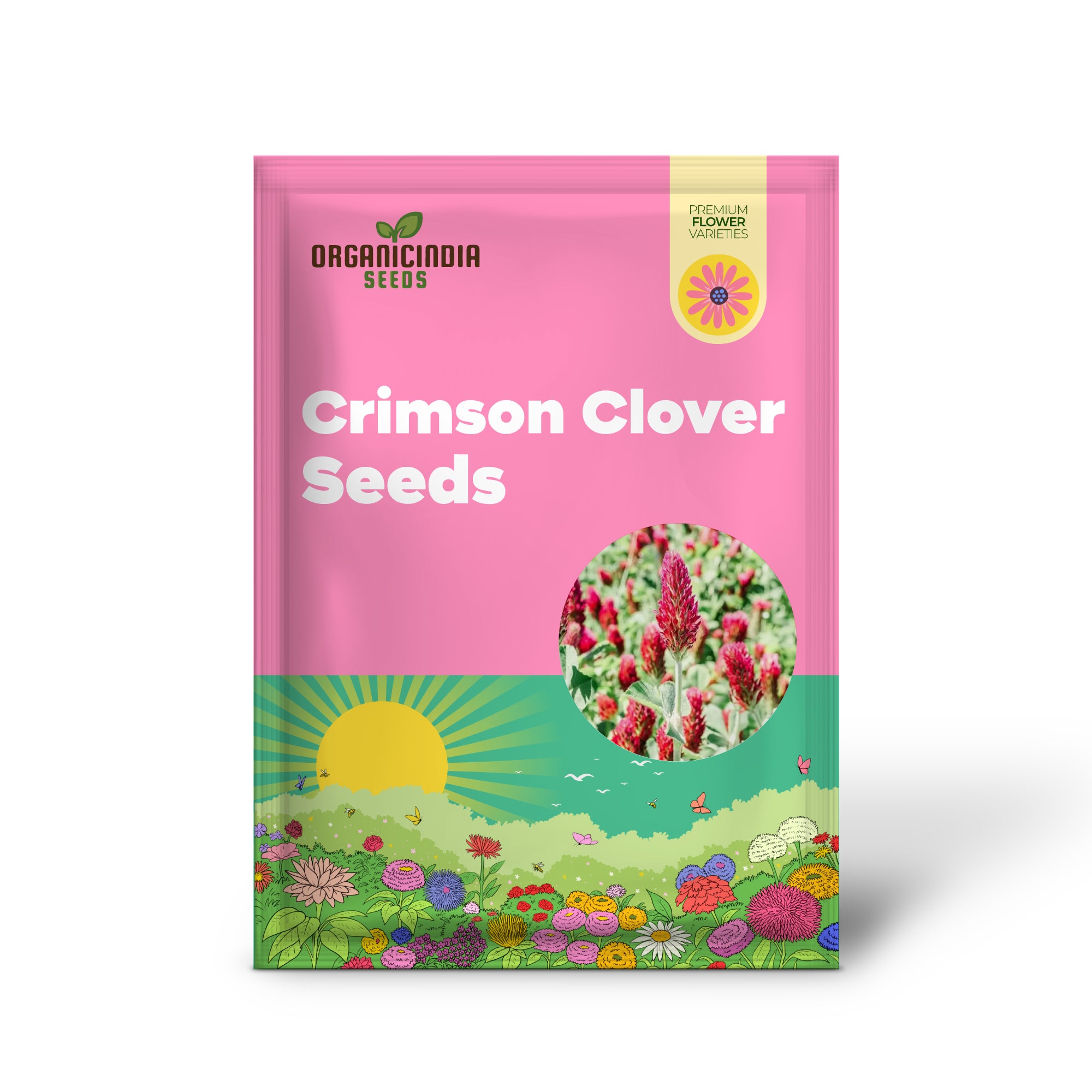 Non-GMO crimson clover seeds fast growing plants