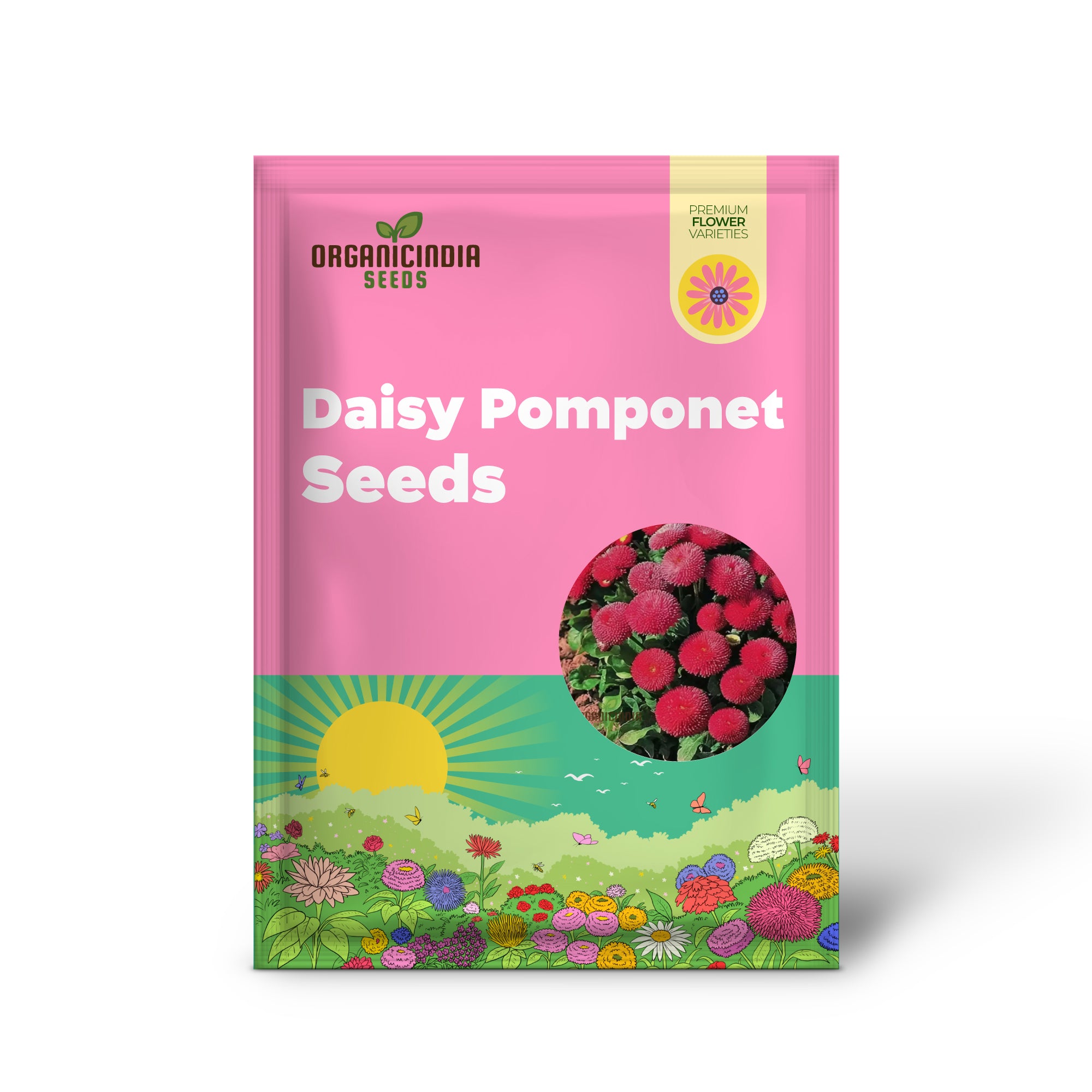 Non-GMO Daisy Pomponet Red Seeds for Home Gardening