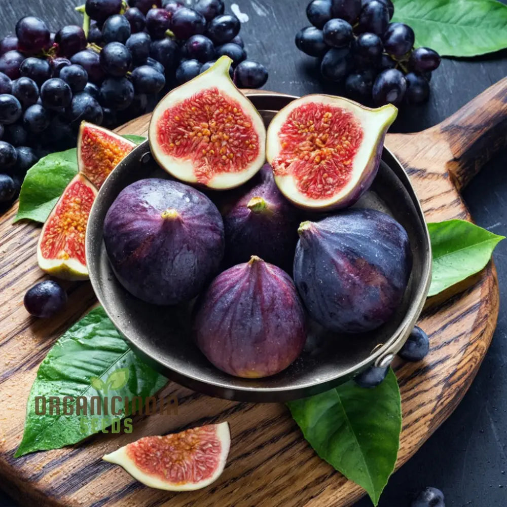 Non-GMO fig seeds for growing sweet and juicy figs