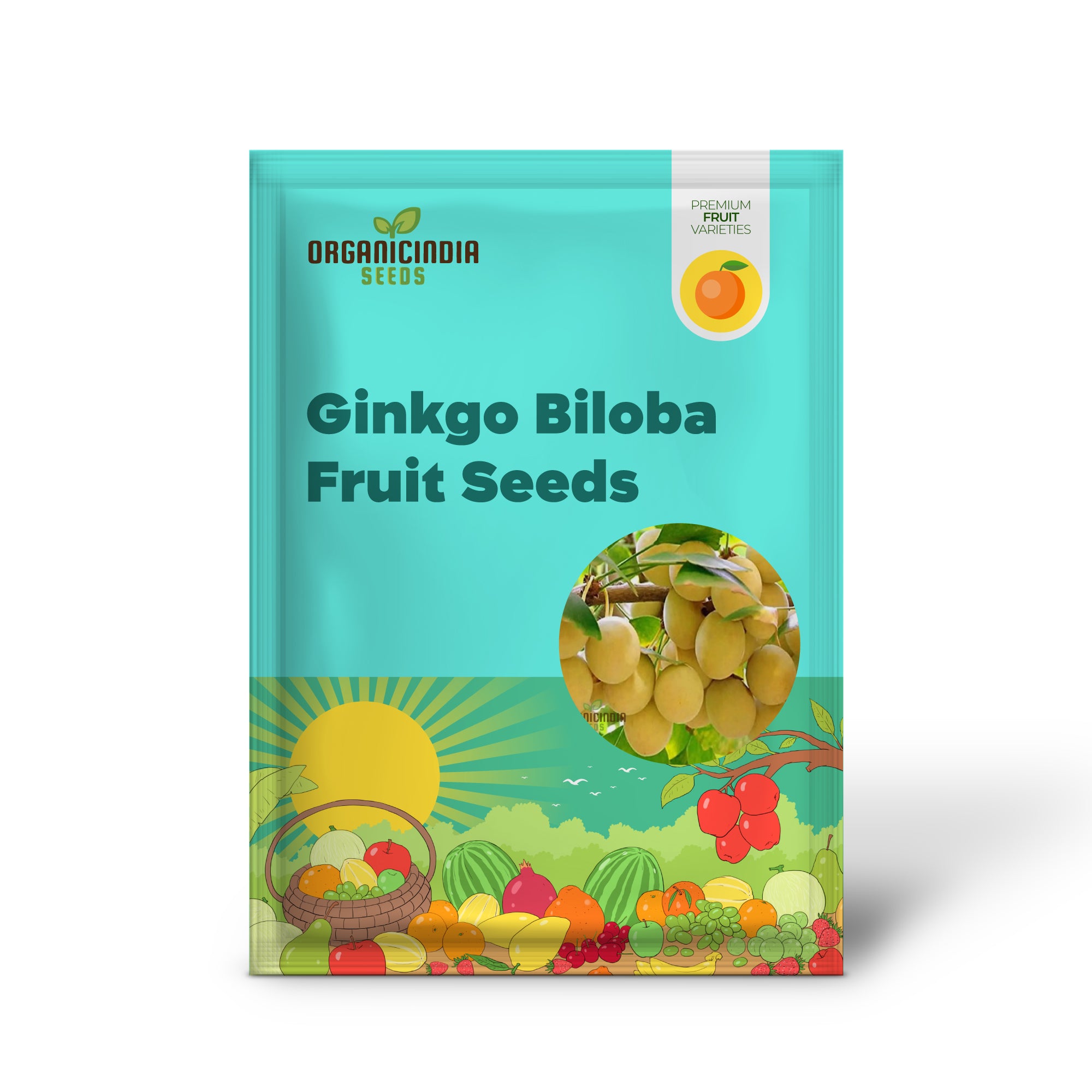 Non-GMO Ginkgo Biloba seeds for growing ornamental trees