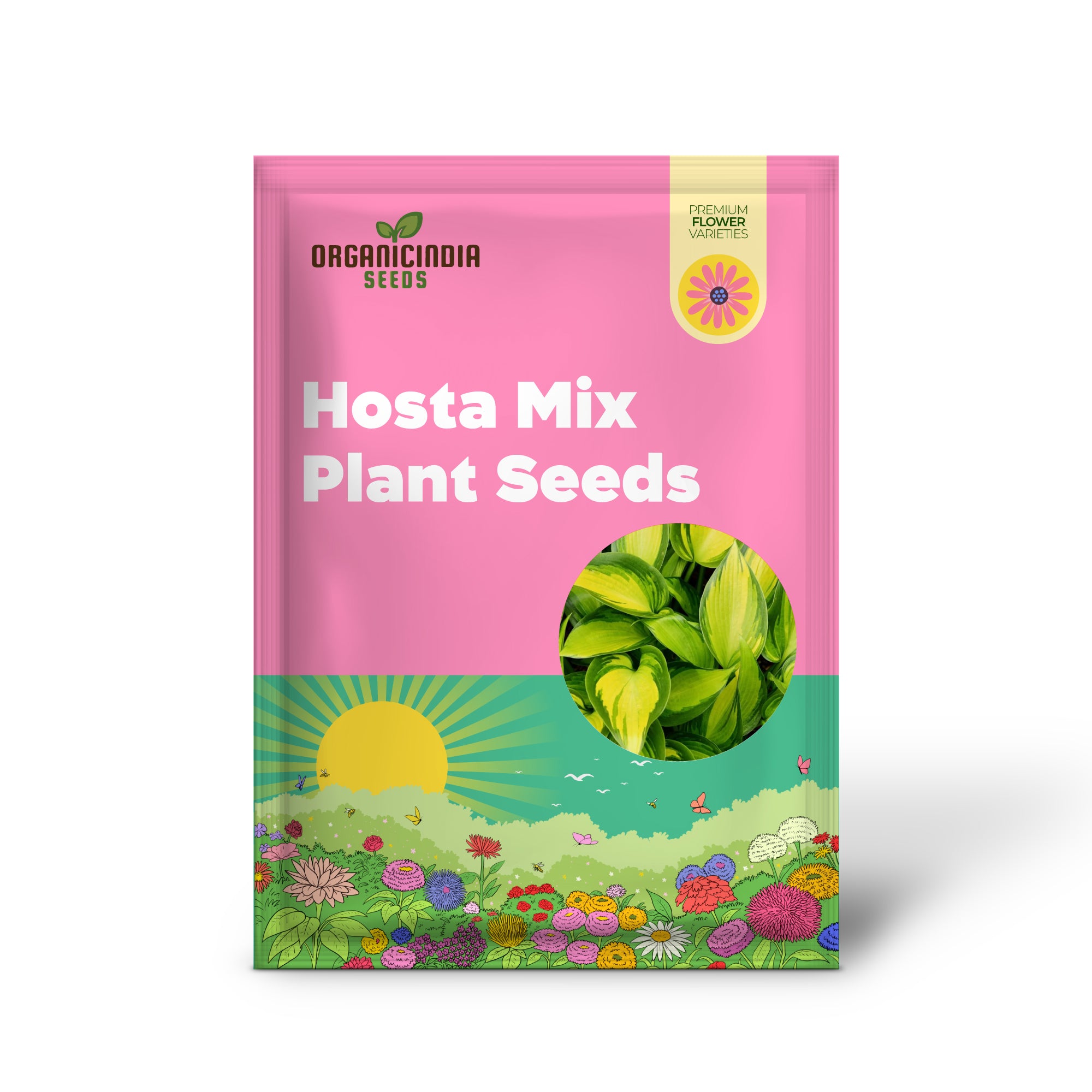 Non-GMO Hosta seeds for shaded garden borders