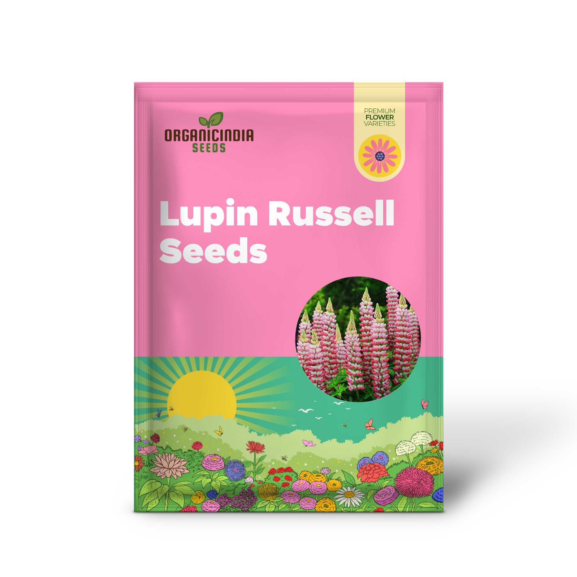Non GMO Lupin Russell seeds classic pink flowers