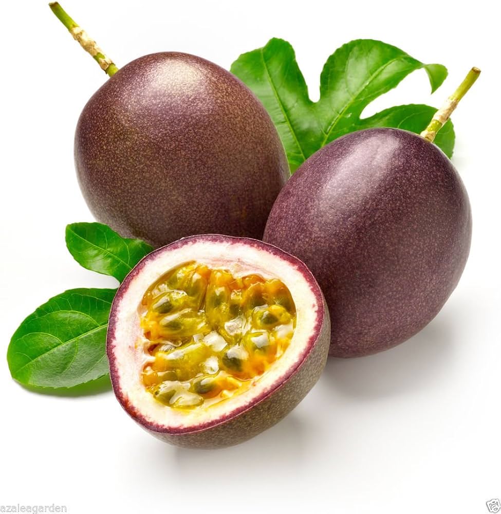 Non-GMO Purple Passion Fruit seeds for growing exotic vines