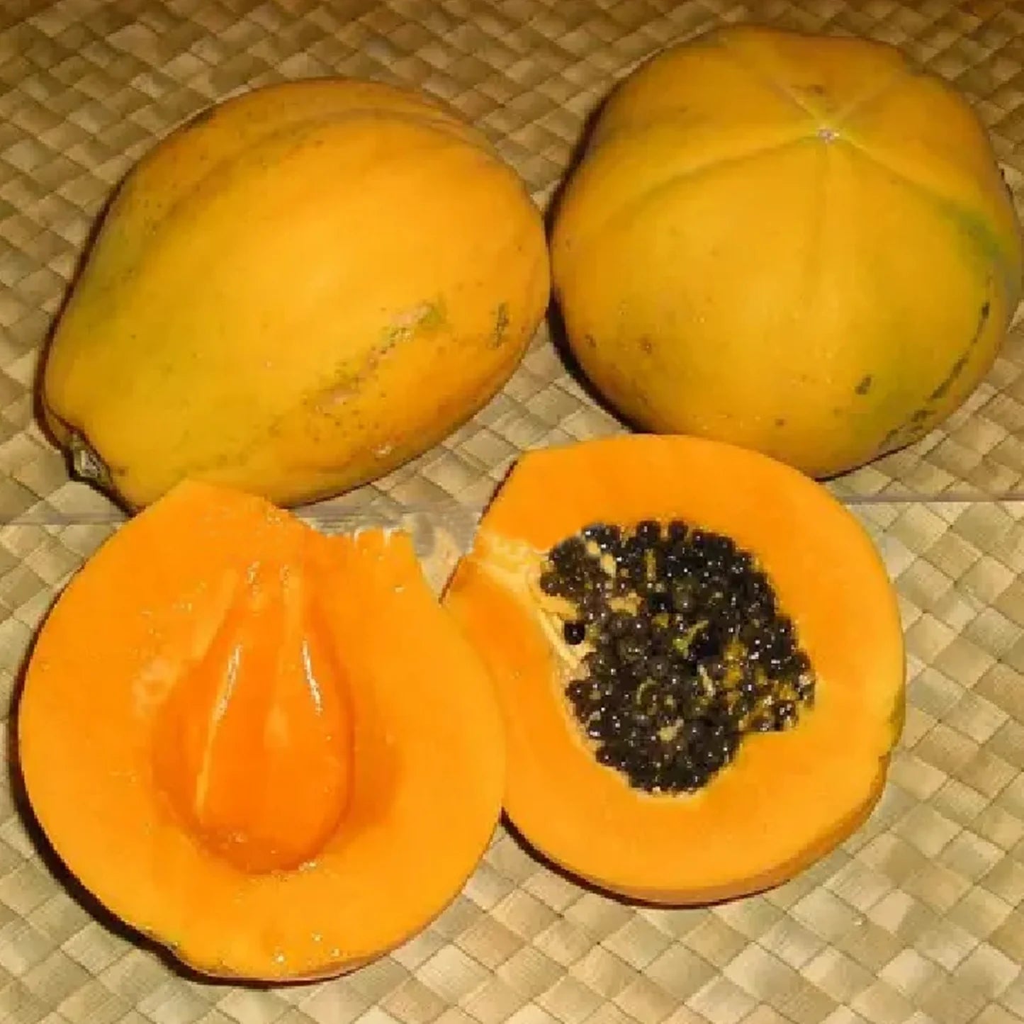 Non-GMO Solo Papaya seeds for home and garden planting